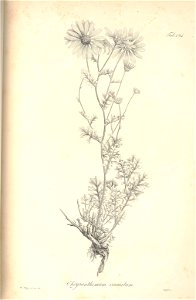 n123_w1150