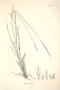 n58_w1150