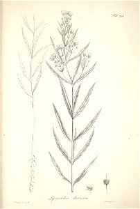 n43_w1150