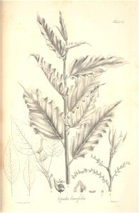 n108_w1150