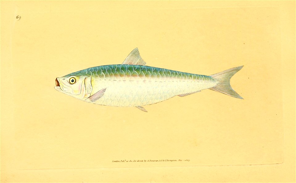 n88_w1150