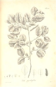 n105_w1150