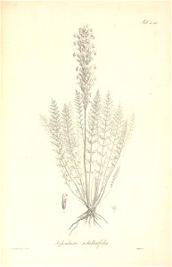n75_w1150