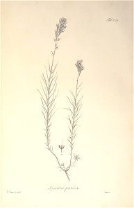 n60_w1150