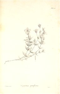 n36_w1150