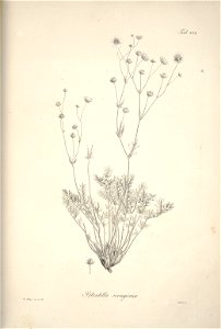 n189_w1150