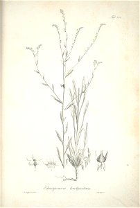n159_w1150
