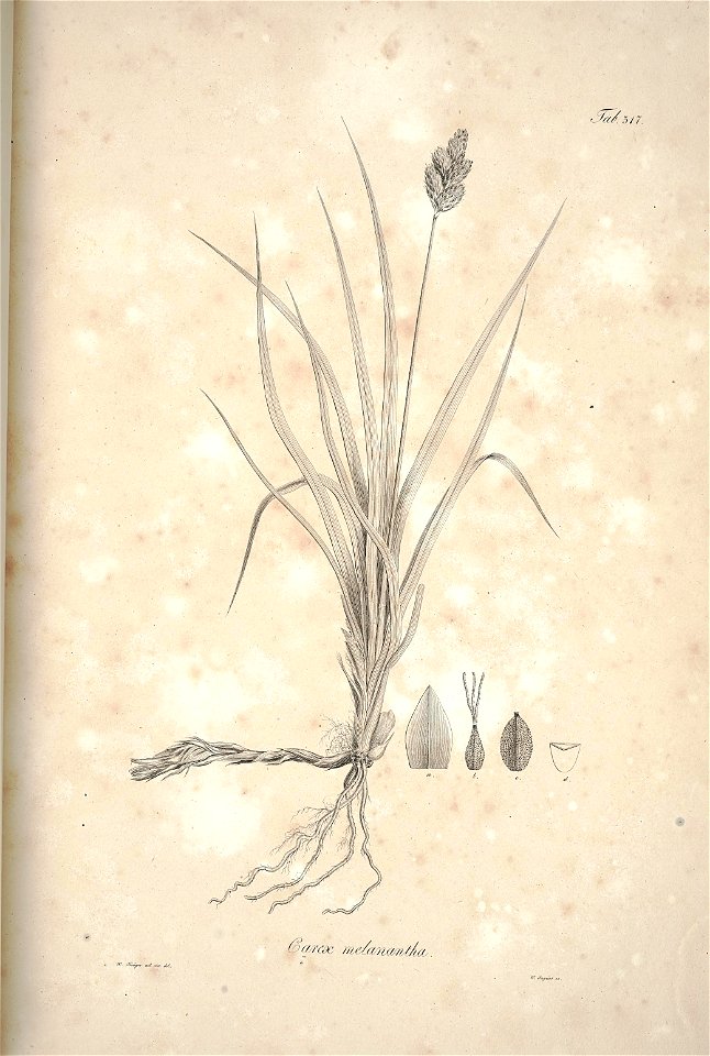 n174_w1150