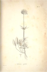 n203_w1150