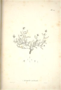 n173_w1150