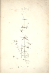 n158_w1150