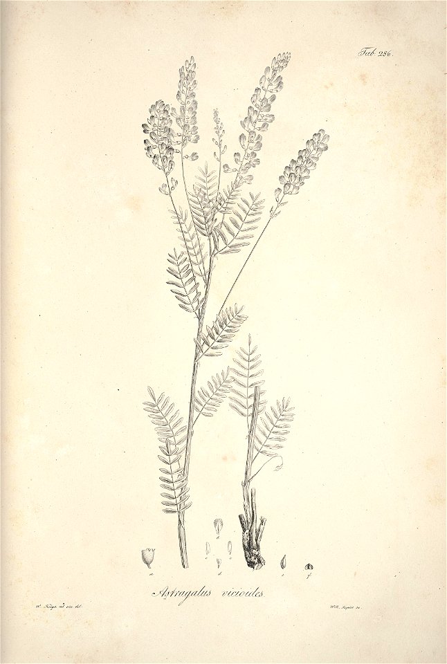 n115_w1150