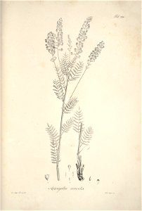 n115_w1150