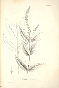 n40_w1150