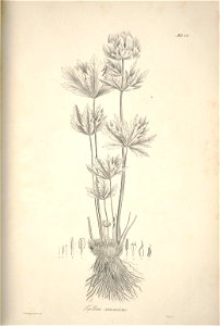 n202_w1150