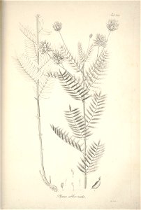 n187_w1150