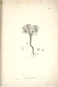 n172_w1150