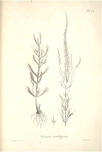 n39_w1150