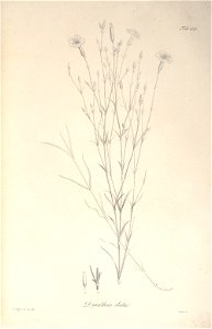 n48_w1150