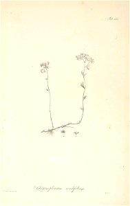n33_w1150