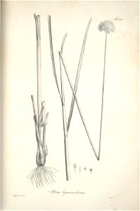 n216_w1150