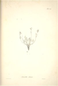 n186_w1150