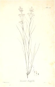 n32_w1150