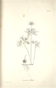 n245_w1150