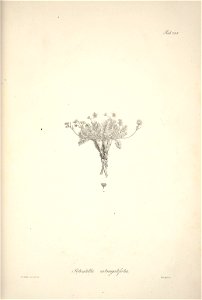 n185_w1150