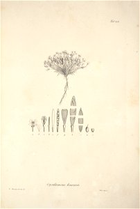 n97_w1150