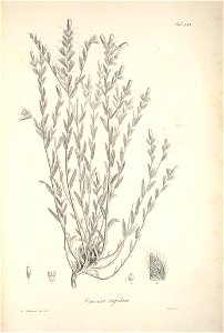 n67_w1150