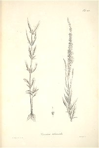 n37_w1150