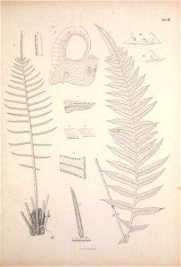 n156_w1150