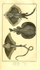 n146_w1150