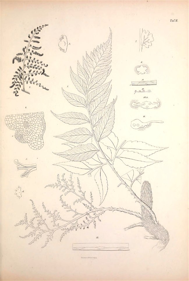 n152_w1150