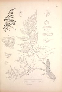 n152_w1150