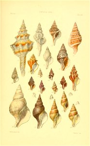 n508_w1150