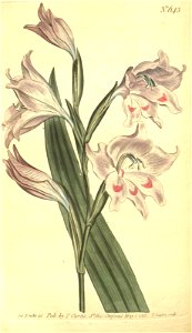n123_w1150