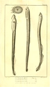 n110_w1150