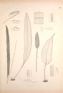 n148_w1150