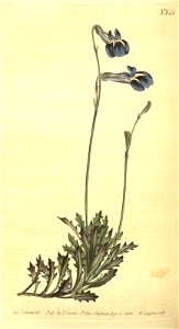 n119_w1150