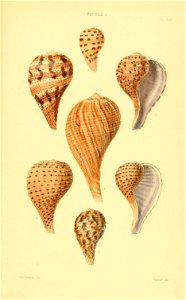 n556_w1150