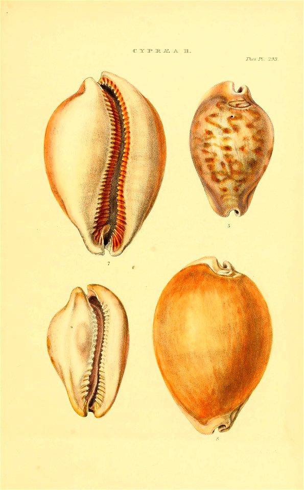 n16_w1150