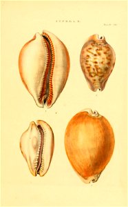 n16_w1150