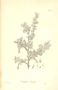 n93_w1150