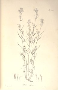 n54_w1150