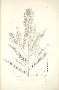 n222_w1150