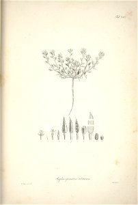 n177_w1150