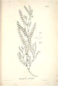 n119_w1150