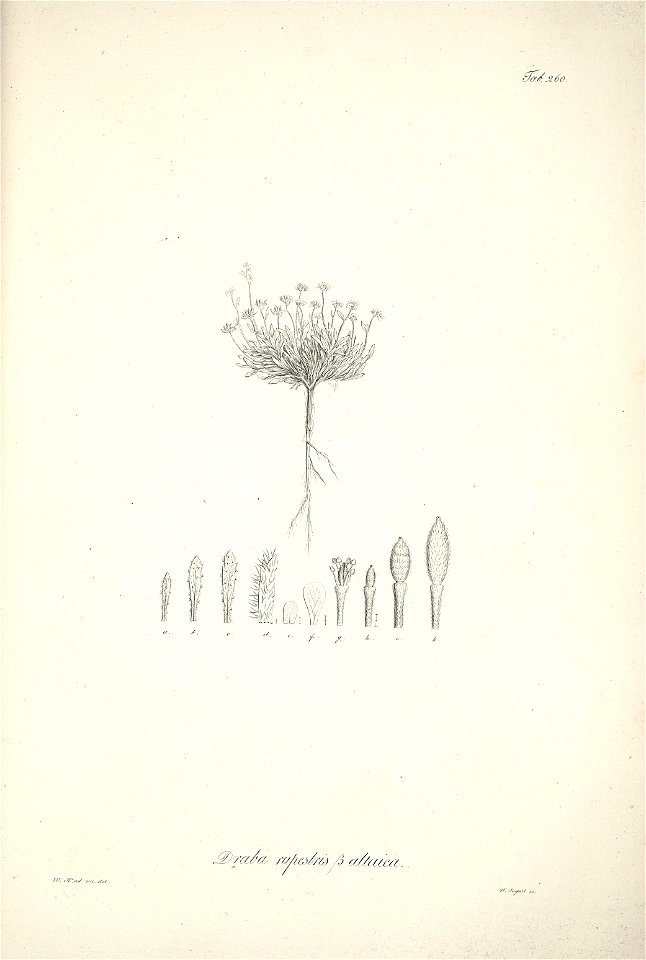 n89_w1150